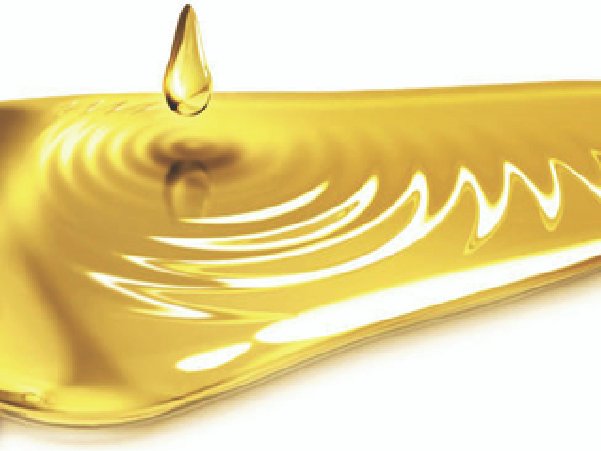 TMA International PVT LTD